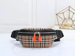 burberry aaa qualite sacs ceinture s_aaba65